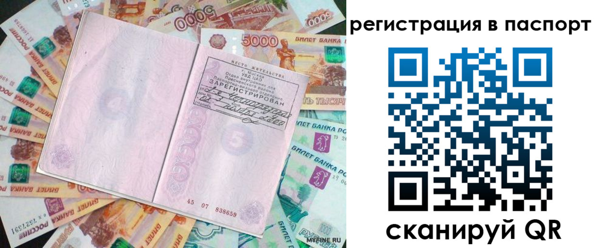 найти адрес прописки в Кузнецке